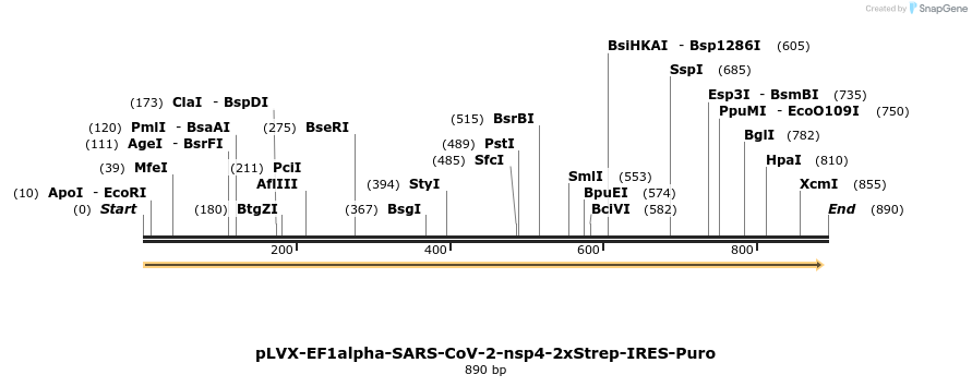 287298_map