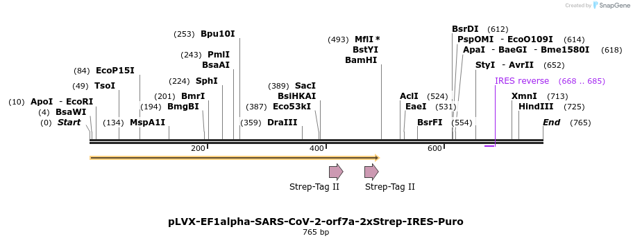287303_map