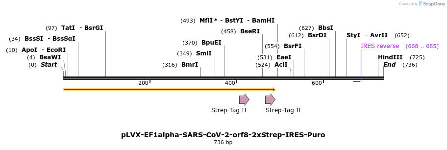 287308_map