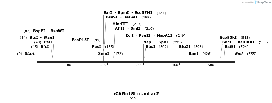 28731_map