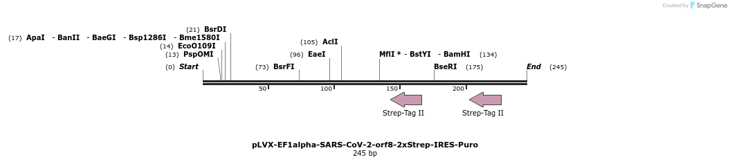 287310_map