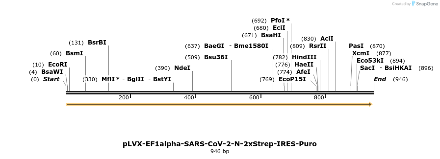 287311_map