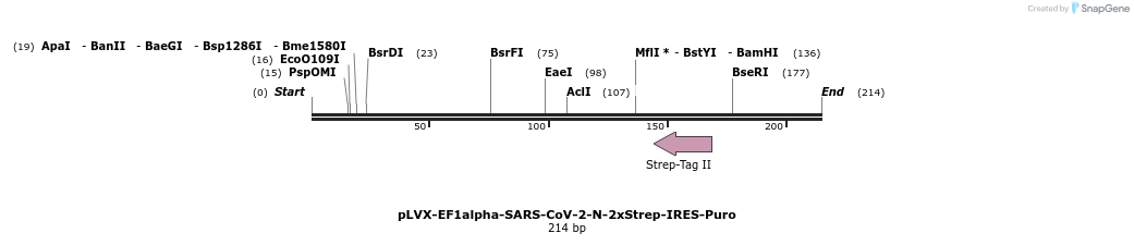 287312_map