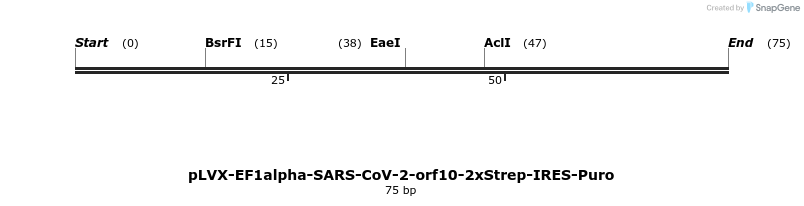 287317_map