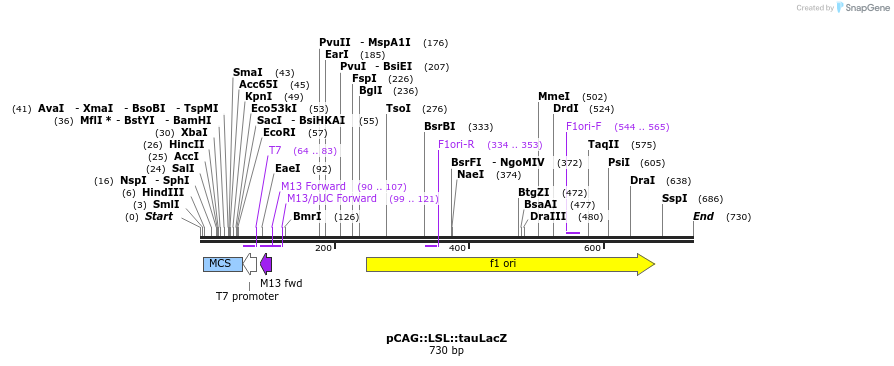 28732_map
