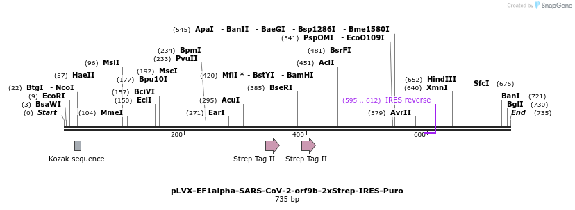 287324_map