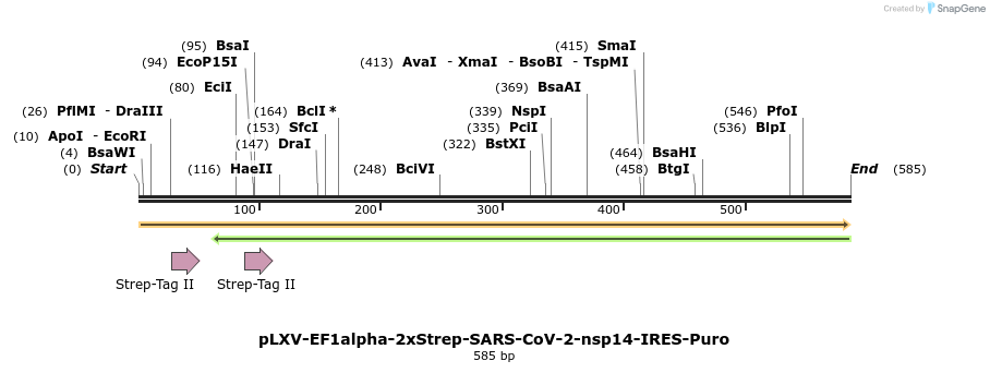 287326_map