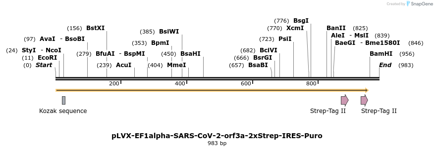 287328_map