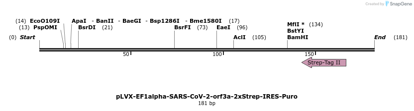 287329_map