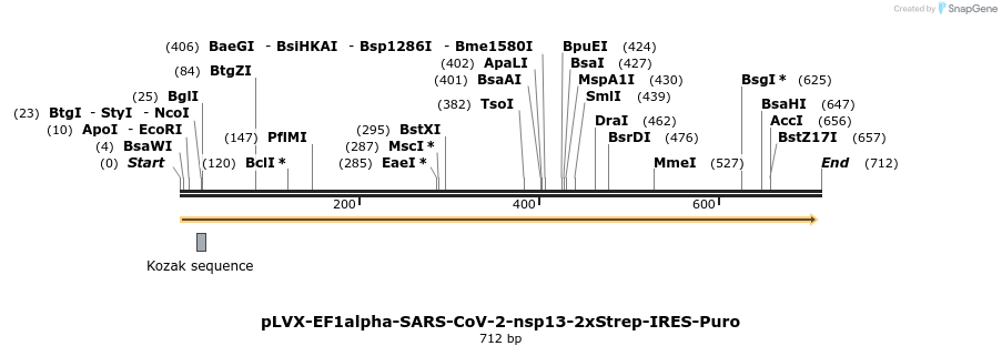 287330_map