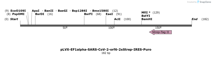 287333_map