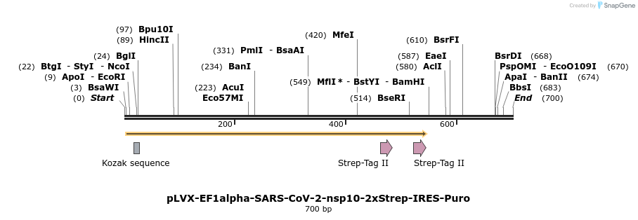 287334_map