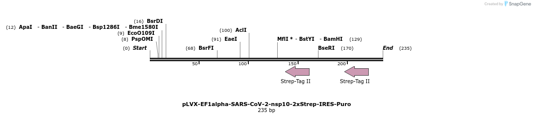 287336_map