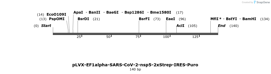 287339_map