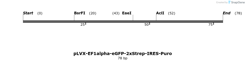 287345_map