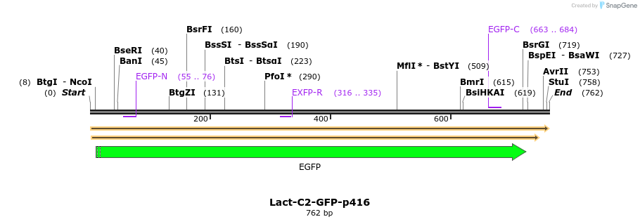 28737_map