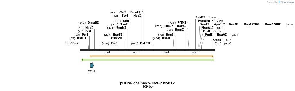 287370_map