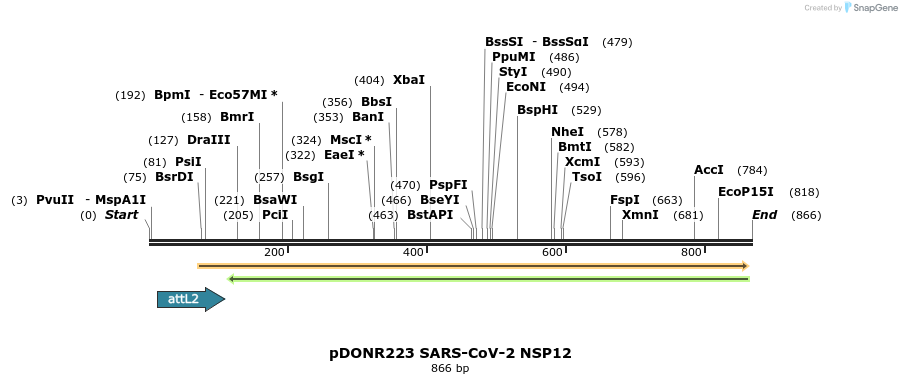 287371_map