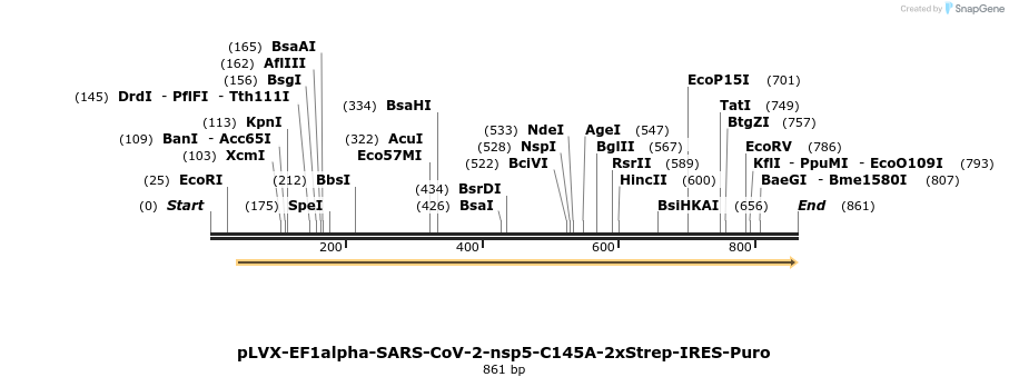 287380_map