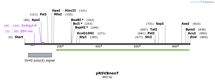 28739_map