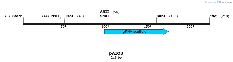 287397_map