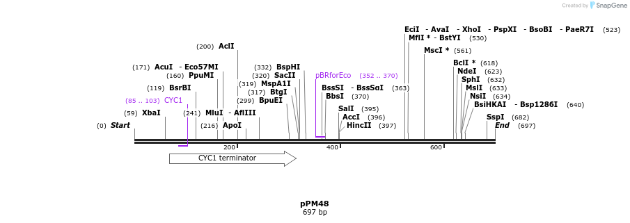 28742_map