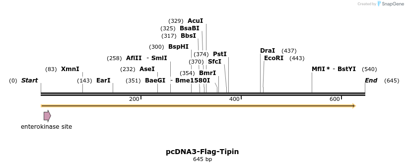 28744_map