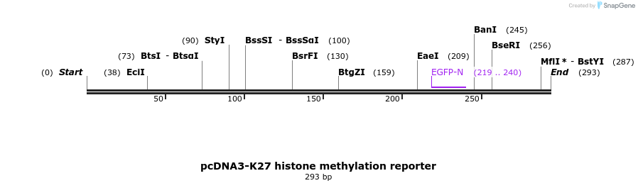 28753_map