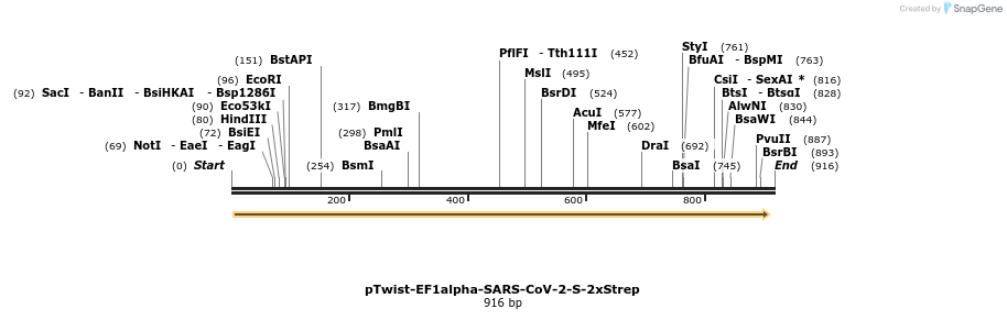 287540_map