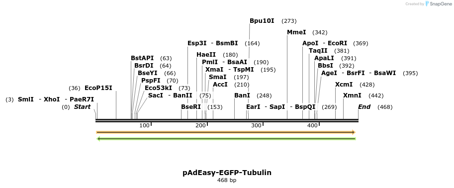 28756_map