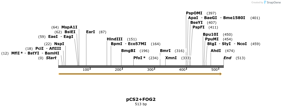 28757_map