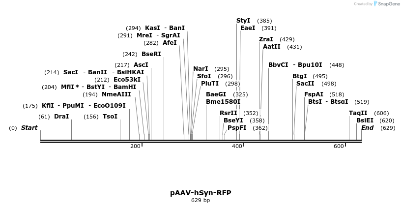 28768_map