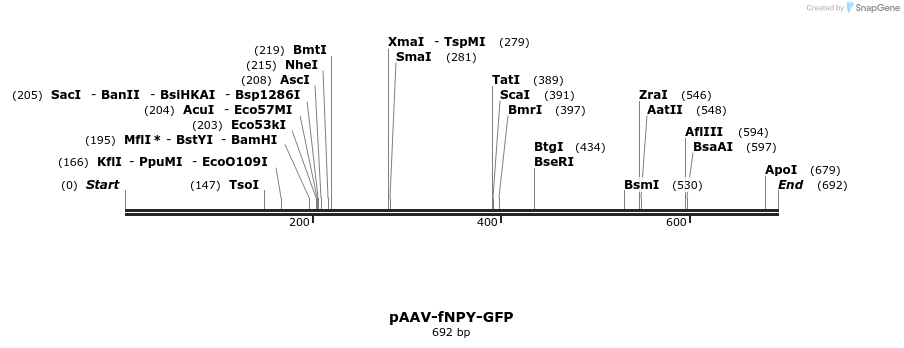 28777_map