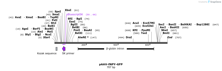 28778_map