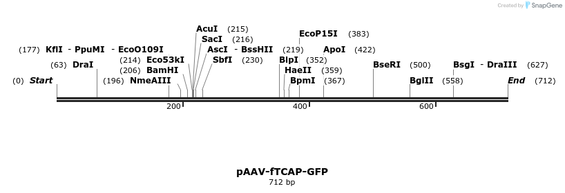 28785_map