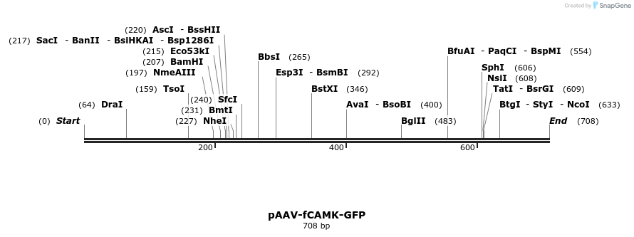 28787_map