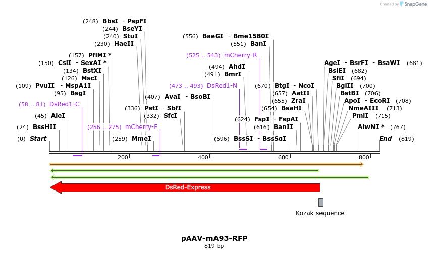 28789_map