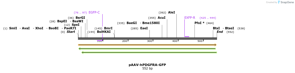28792_map
