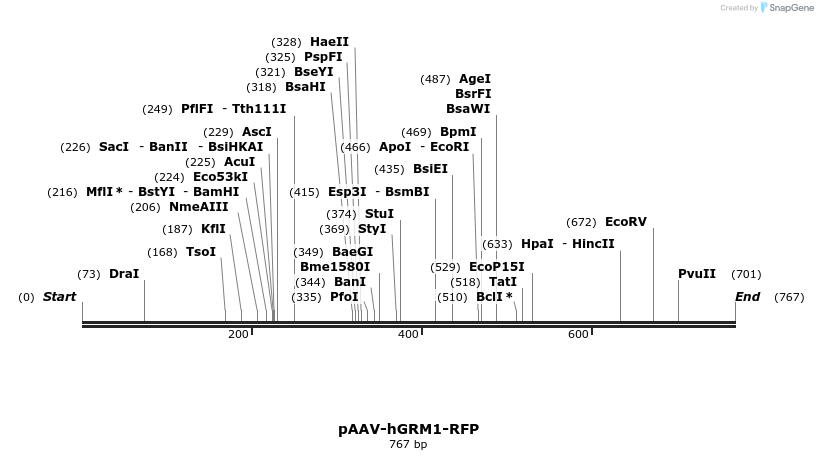 28793_map