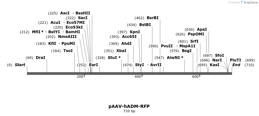 28797_map