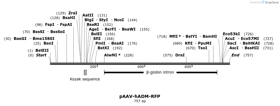 28798_map