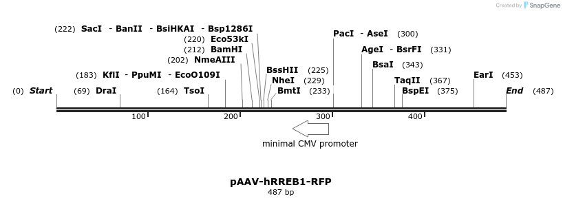 28801_map