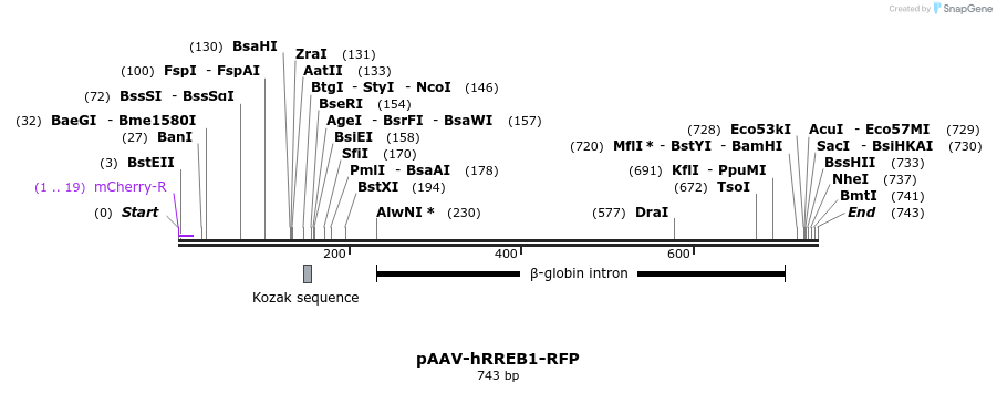 28802_map