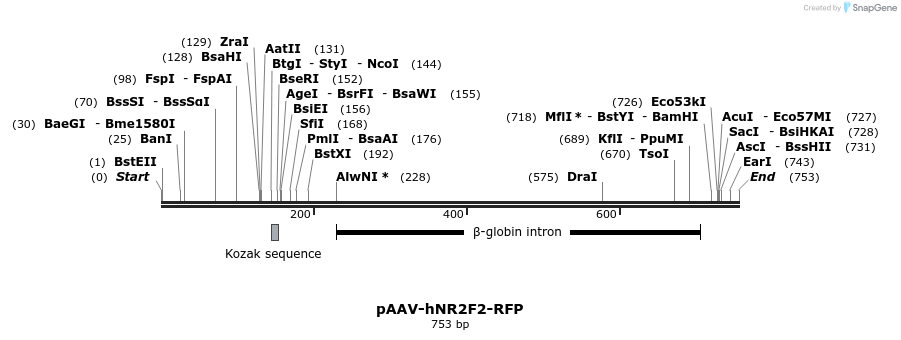 28804_map