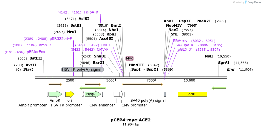 288057_map
