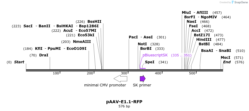 28807_map