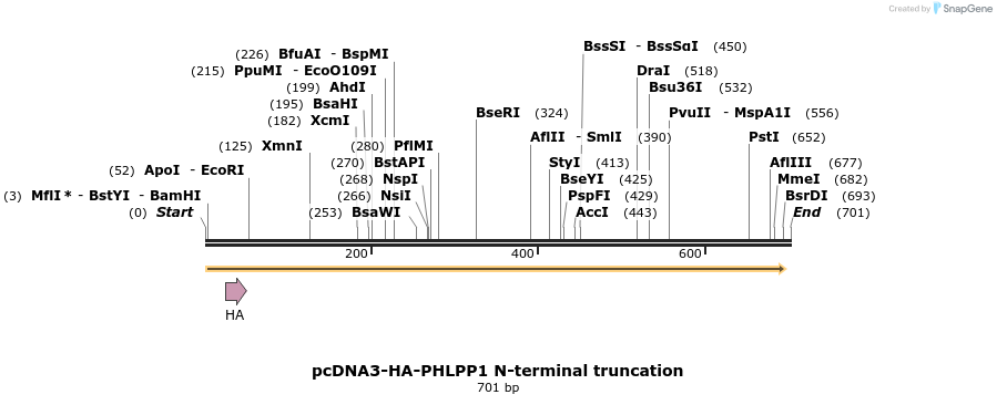 28811_map