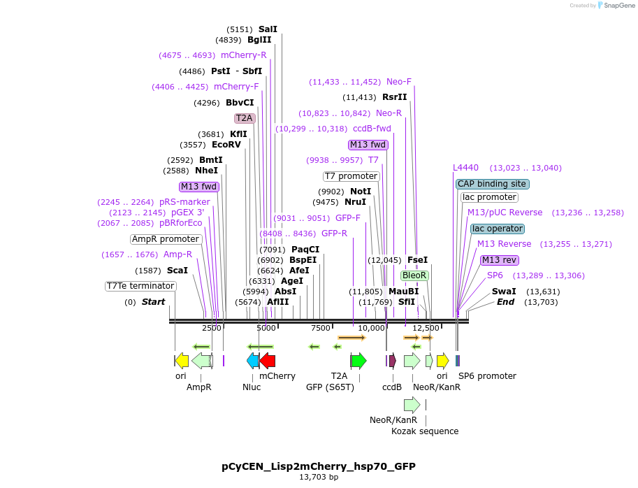 288118_map