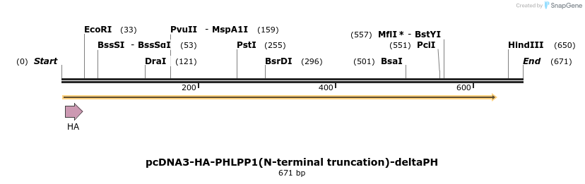 28812_map