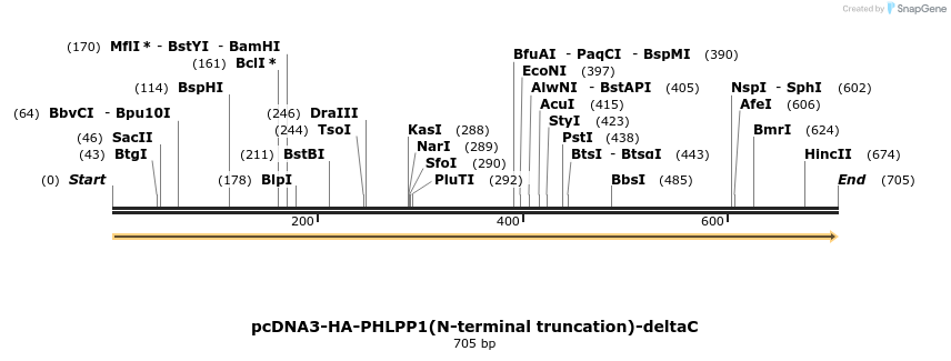 28814_map